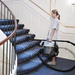 Aspirador VP 300 ECO